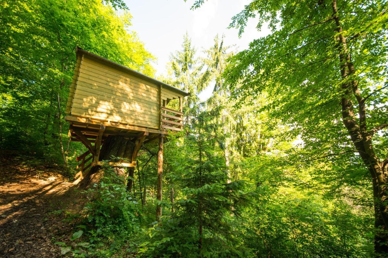Adventure Farm Bed and Breakfast Store Eksteriør billede