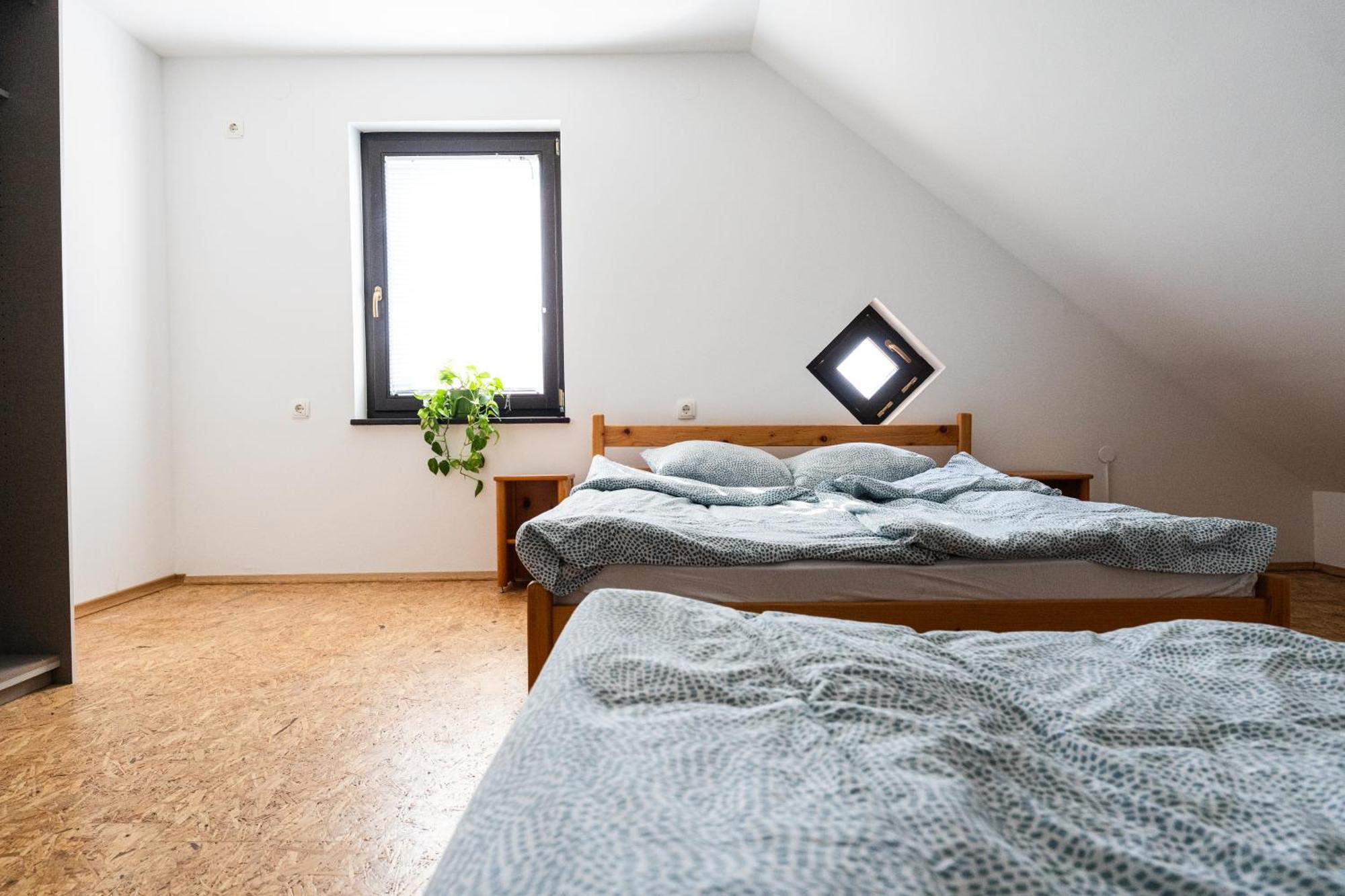 Adventure Farm Bed and Breakfast Store Eksteriør billede